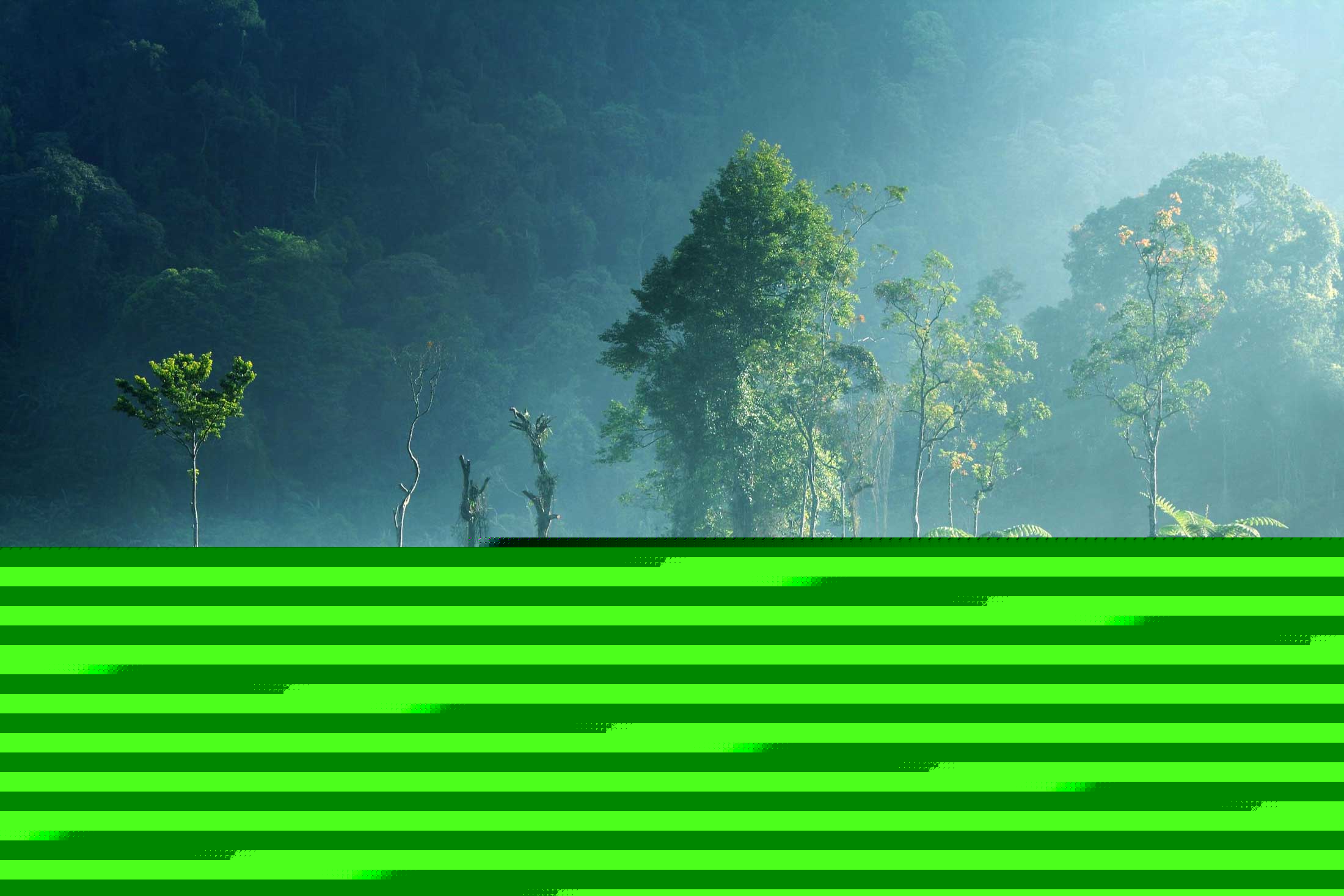 nature
